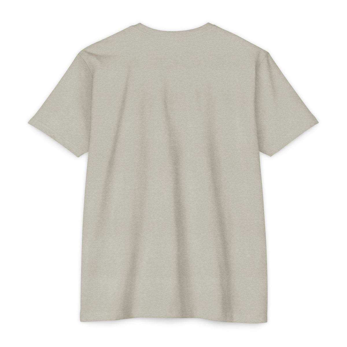 Favorite Substitute T-Shirt — Classic Tee
