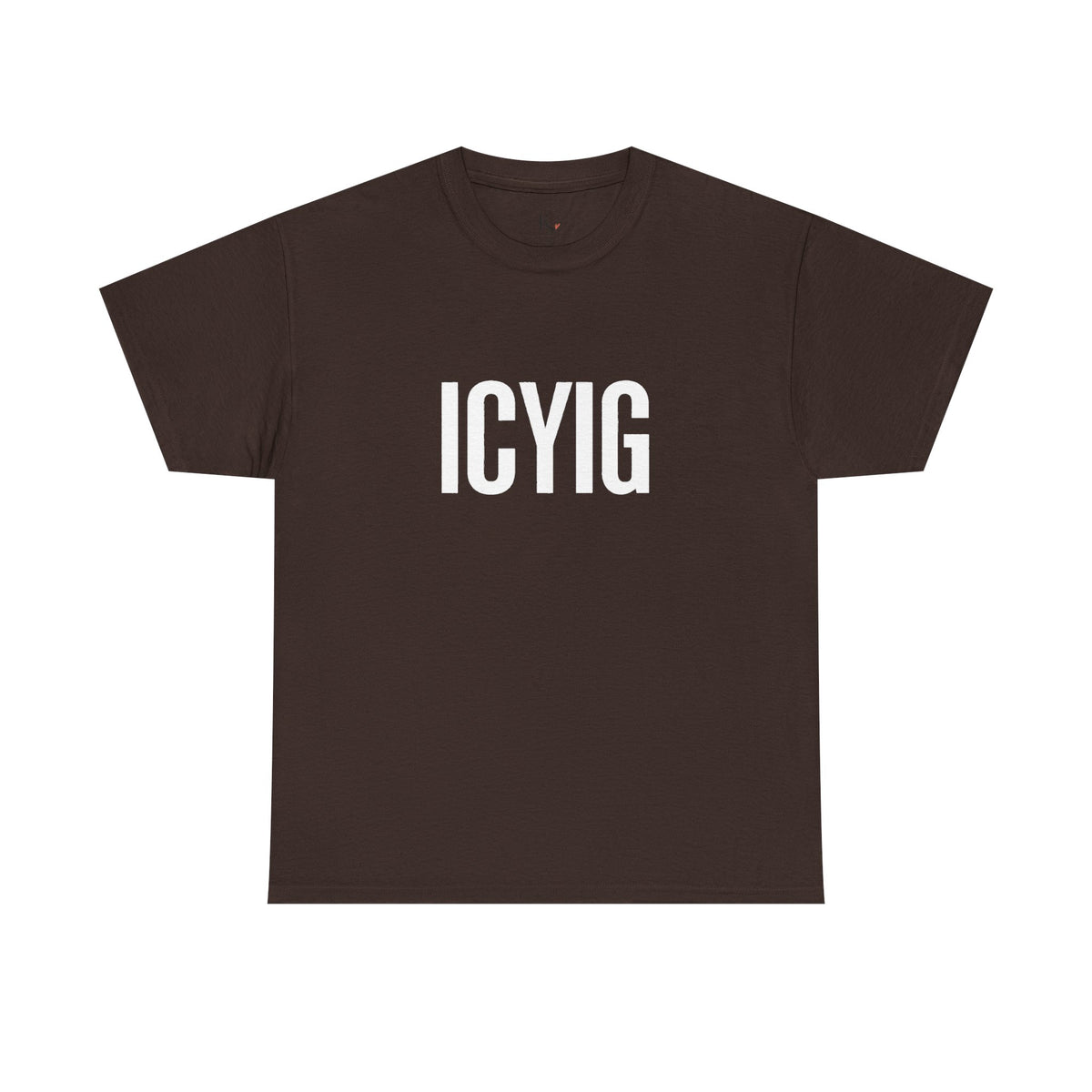 Motivational T-Shirt — ICYIG Front / "Ignite & Cultivate Your Inner Genius"